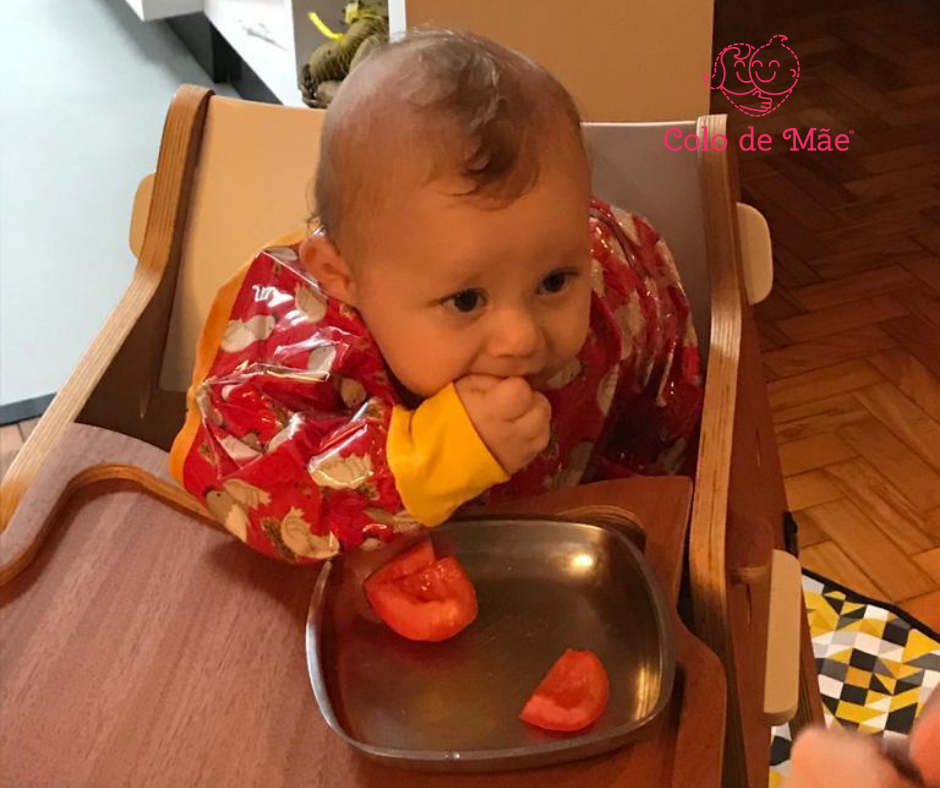 Leia mais sobre o artigo Vantagens do método BLW de introdução alimentar – Baby Led Weaning