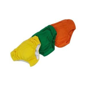 Kit com 3 Calcinhas de Desfralde Colorida
